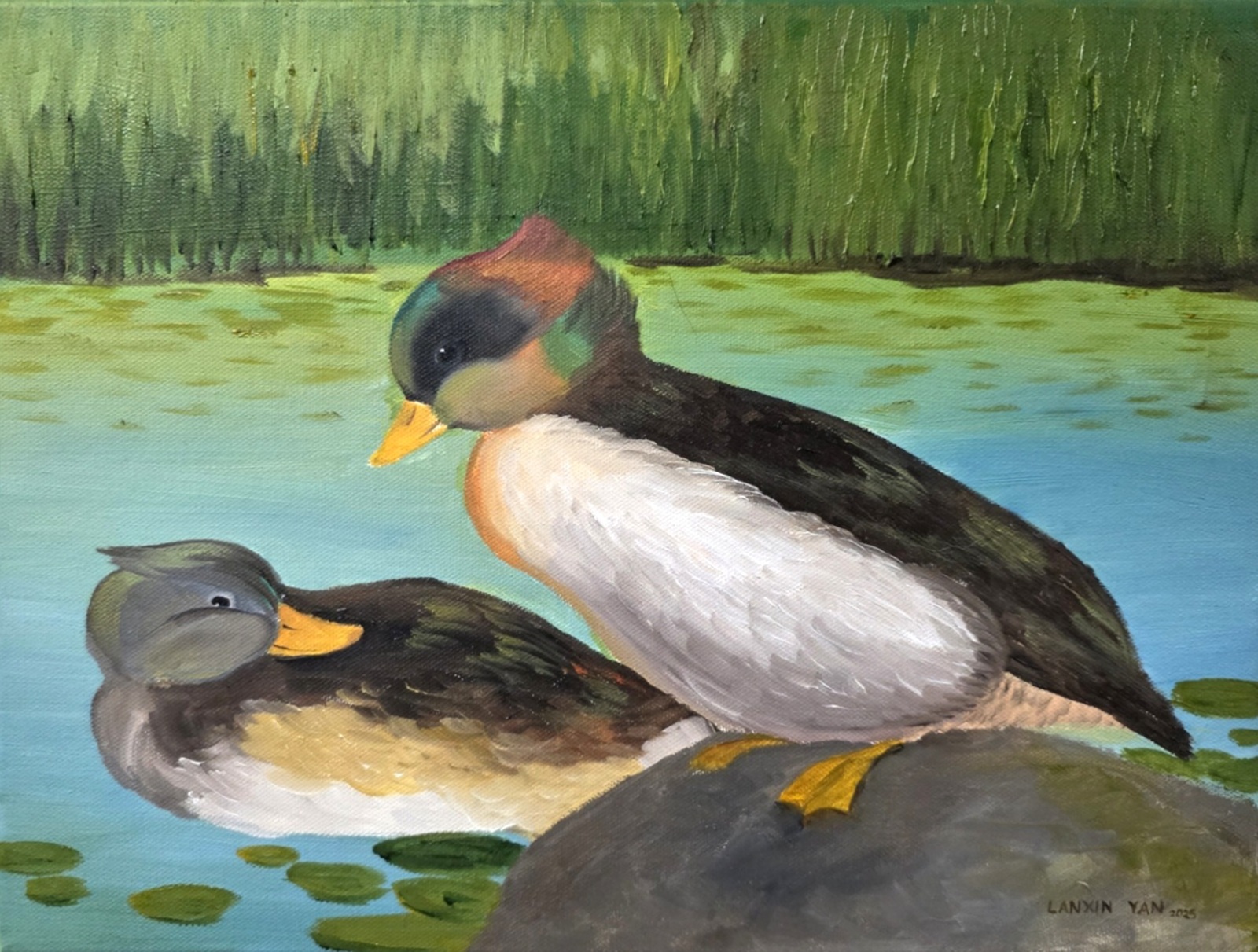Oil painting of two grebes swimming together on a lily pond, surrounded by green leaves and soft reflections