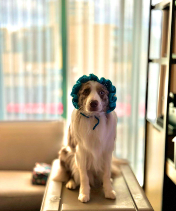 Handmade crocheted yarn hat created for Rainbow.