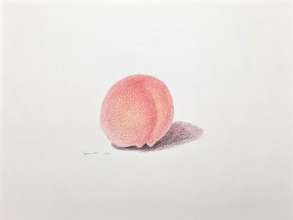 Colored pencil drawing of a round peach with pink and orange tones on white paper.